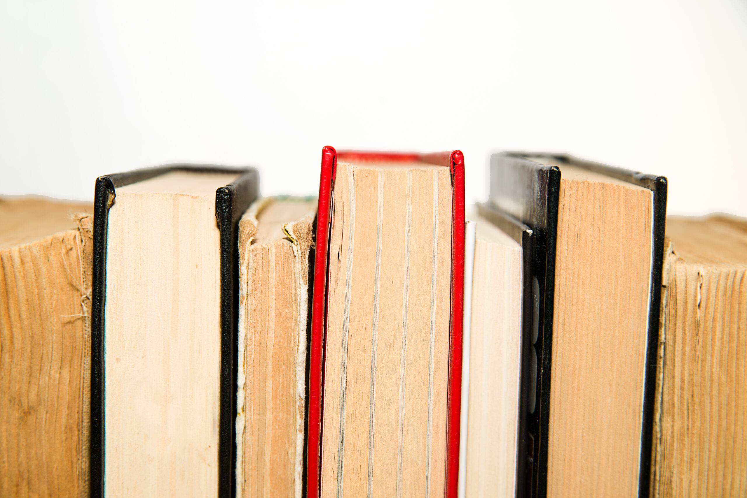 7 elementi principali e blocchi della struttura della tesi