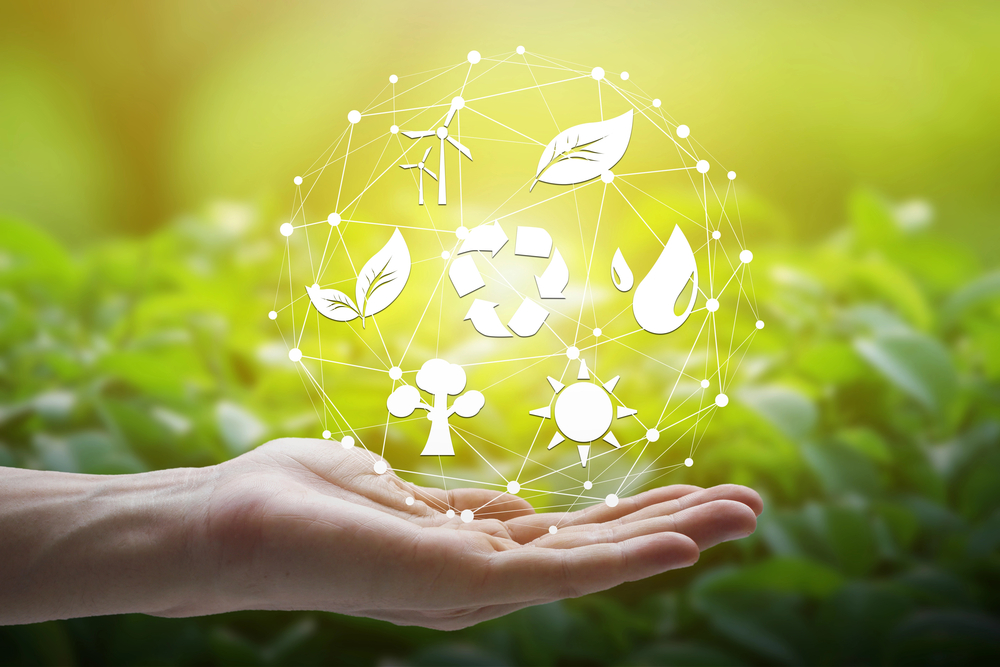 Collaborazioni interdisciplinari nelle tesi in ecologia: ampliare i confini della ricerca ambientale
